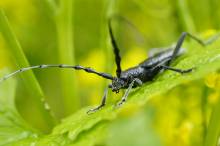 Notre zone d'activité pour ce service Traitement hydrofuge coloré pour façade