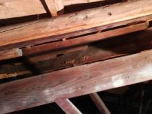 Notre zone d'activité pour ce service Devis pour travaux de peinture intérieure à